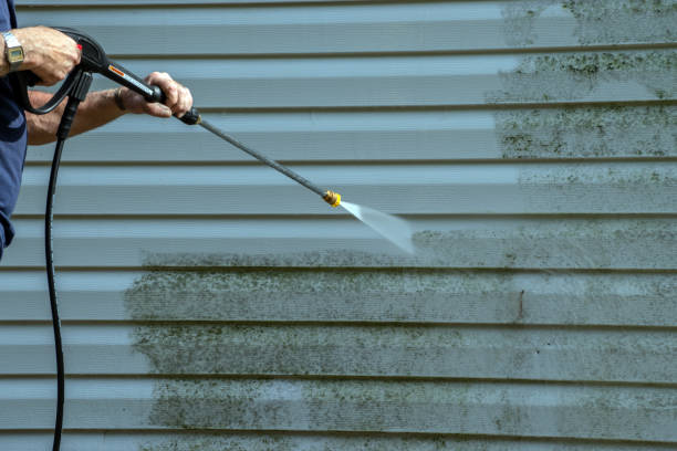 Best Roof Pressure Washing  in Giddings, TX